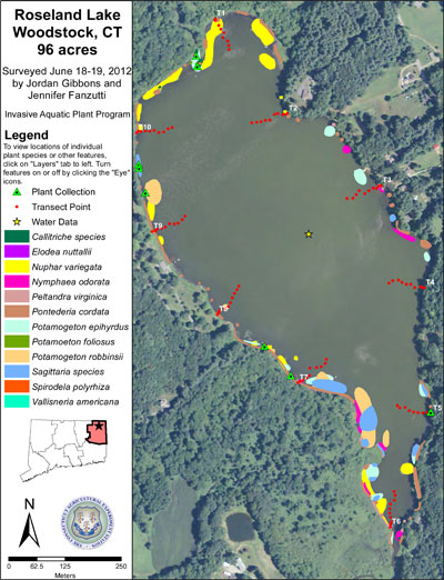 Map of aquatic species identified at Roseland Lake in 2012
